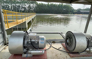 工廠化水產(chǎn)養(yǎng)殖設備品牌定位案例分析